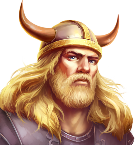 Vikings Fortune